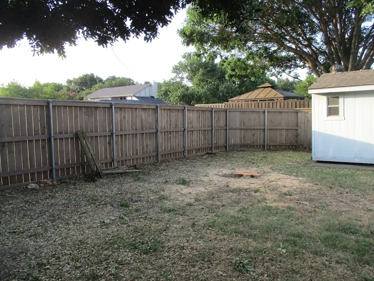 Cleared yard after professional tree removal in Days Creek