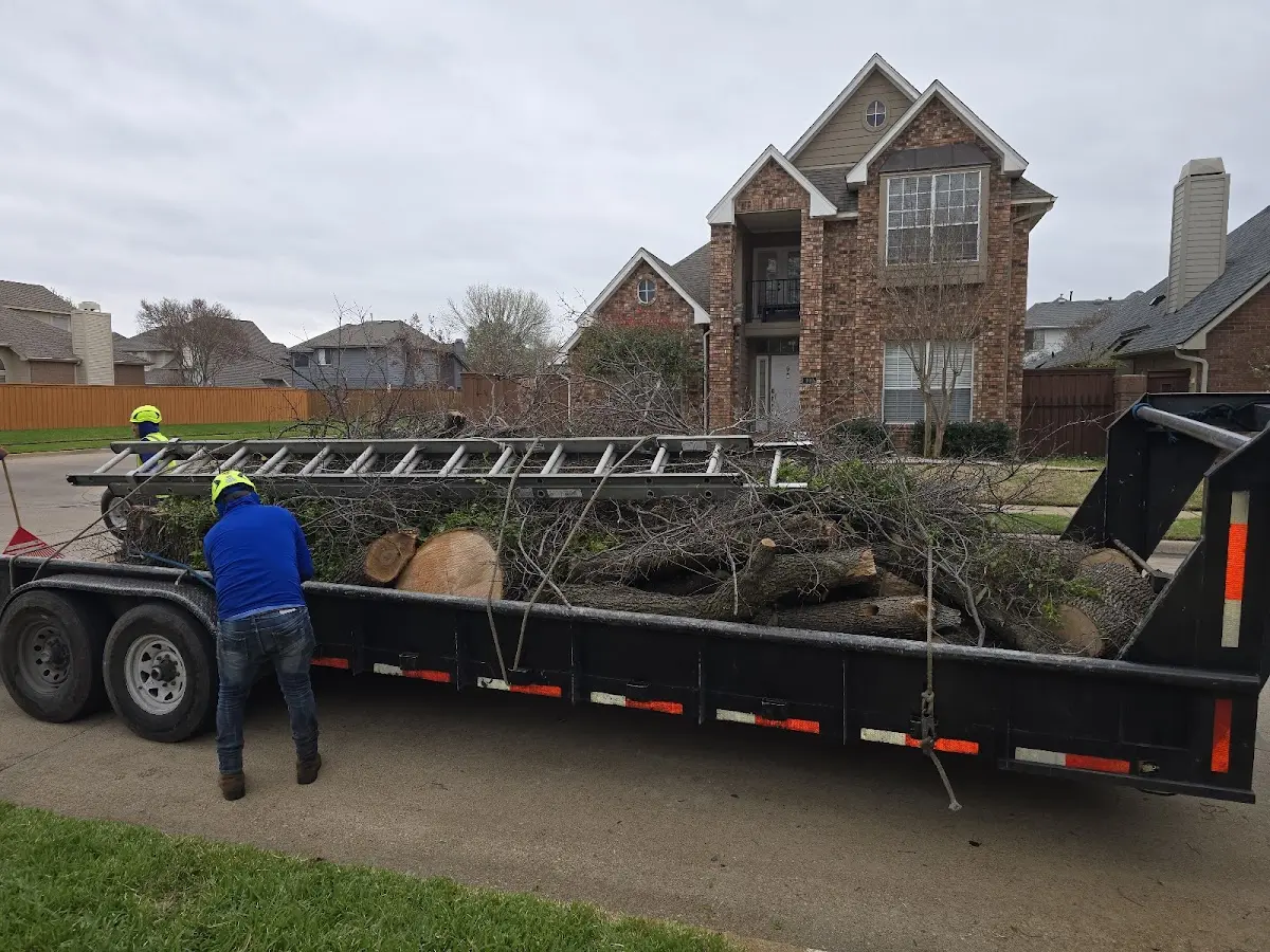Expert Crown Reduction with proper safety equipment in Days Creek